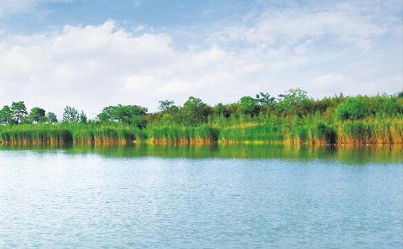 湿地公园简介江苏徐州九里湖国家湿地公园